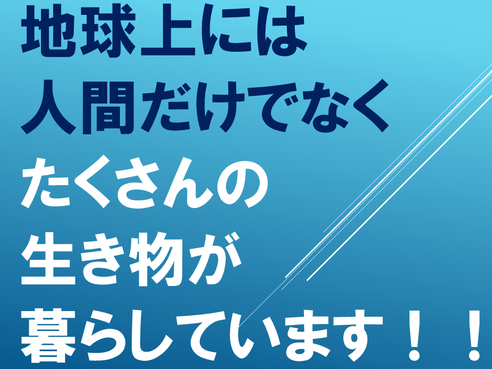 260608 (33).PNG