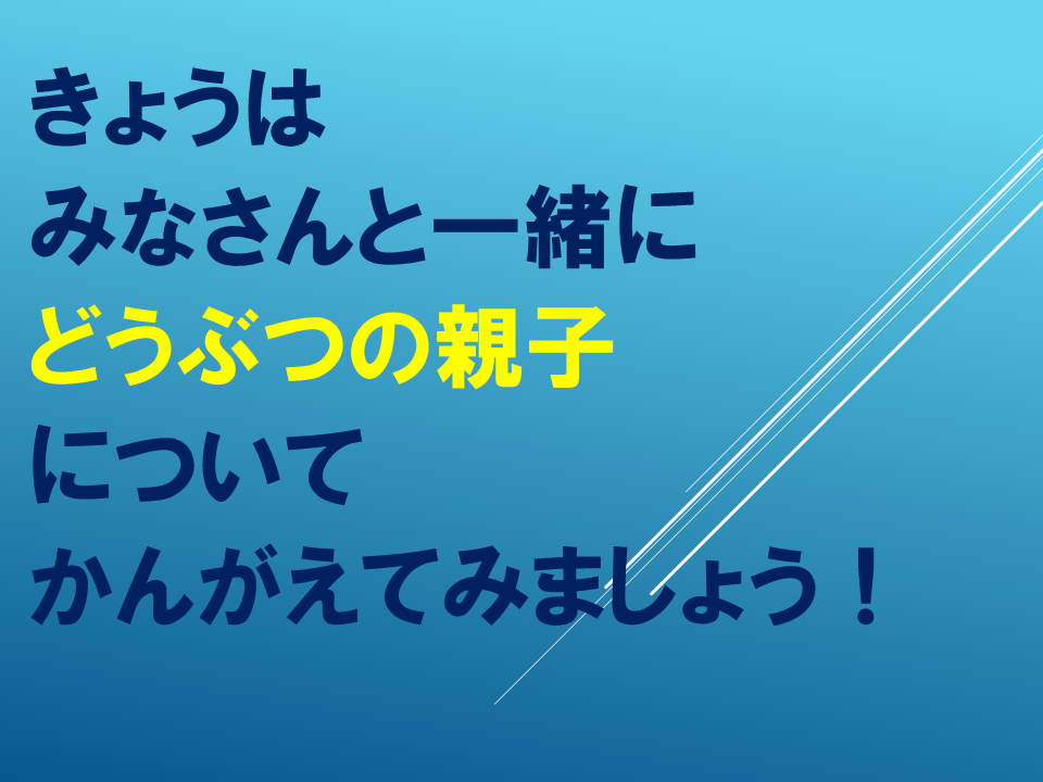 260608 (4).PNG