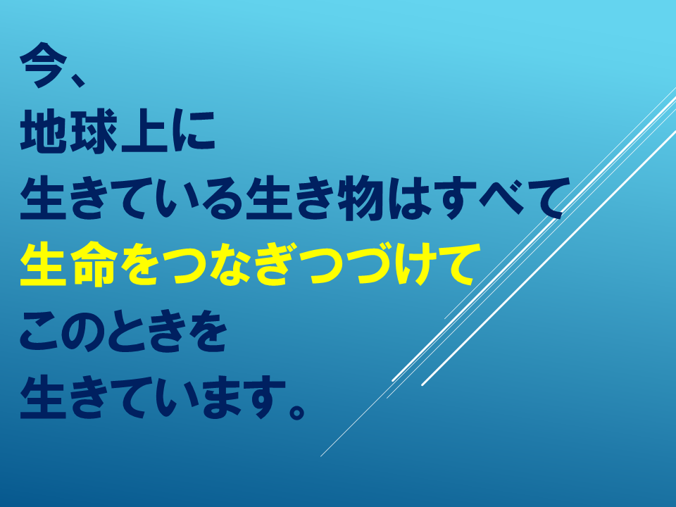 260608 (6).PNG