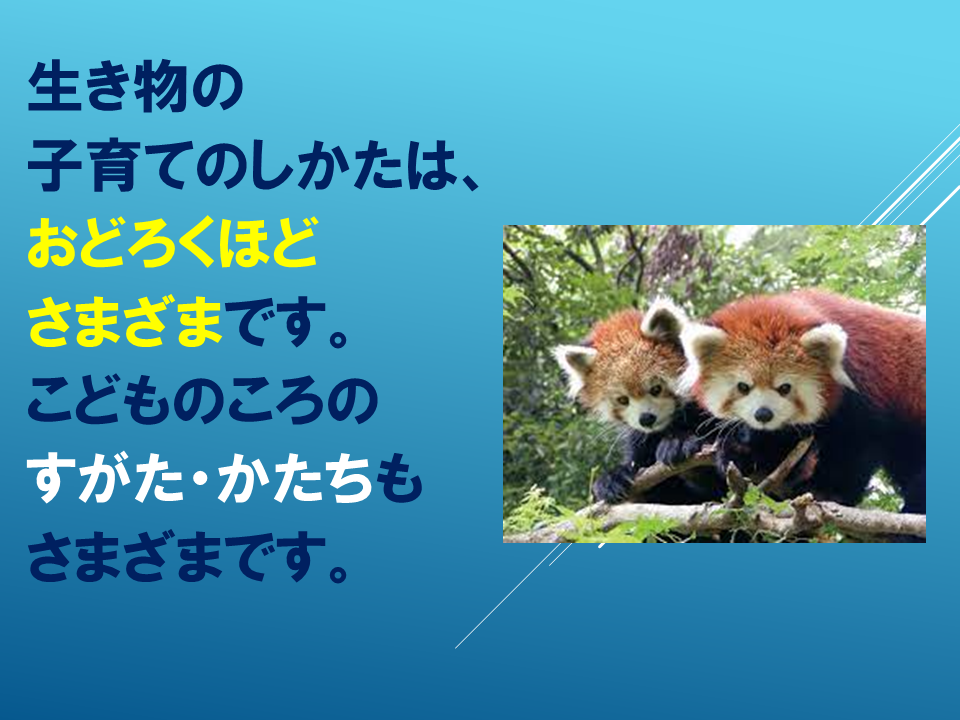 260608 (7).PNG