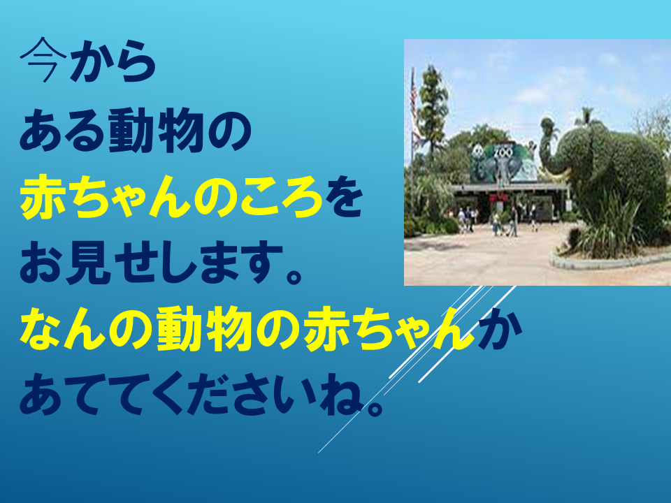 260608 (9).PNG