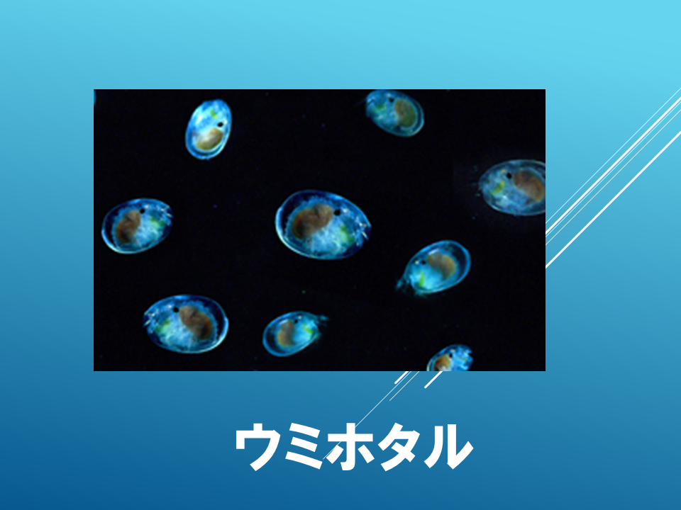 260615 (10).PNG