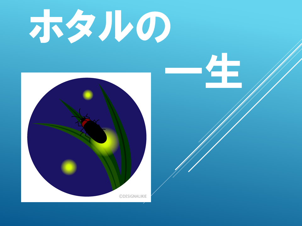 260615 (11).PNG