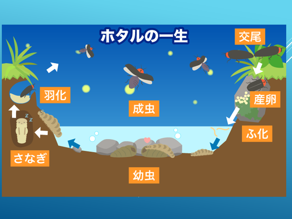 260615 (12).PNG