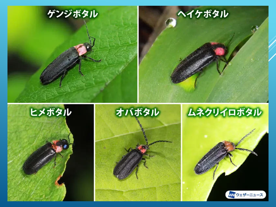 260615 (4).PNG