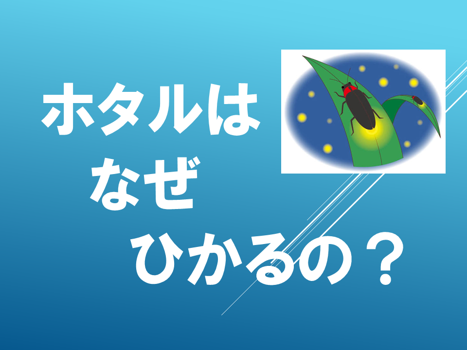 260615 (5).PNG