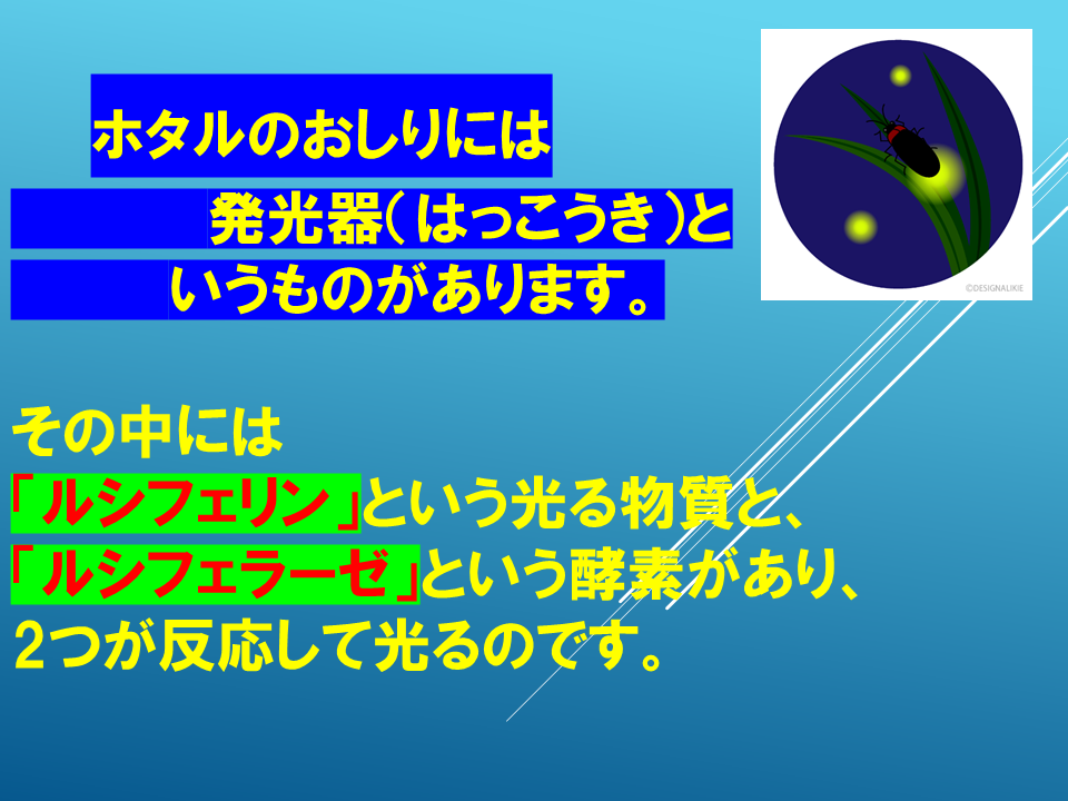 260615 (6).PNG
