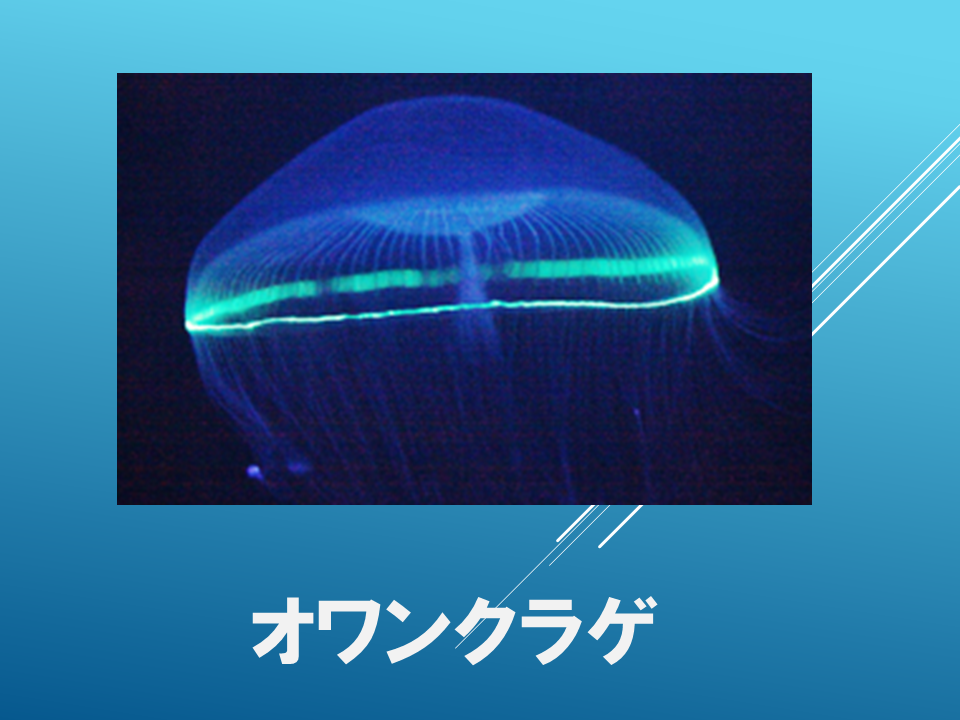 260615 (9).PNG