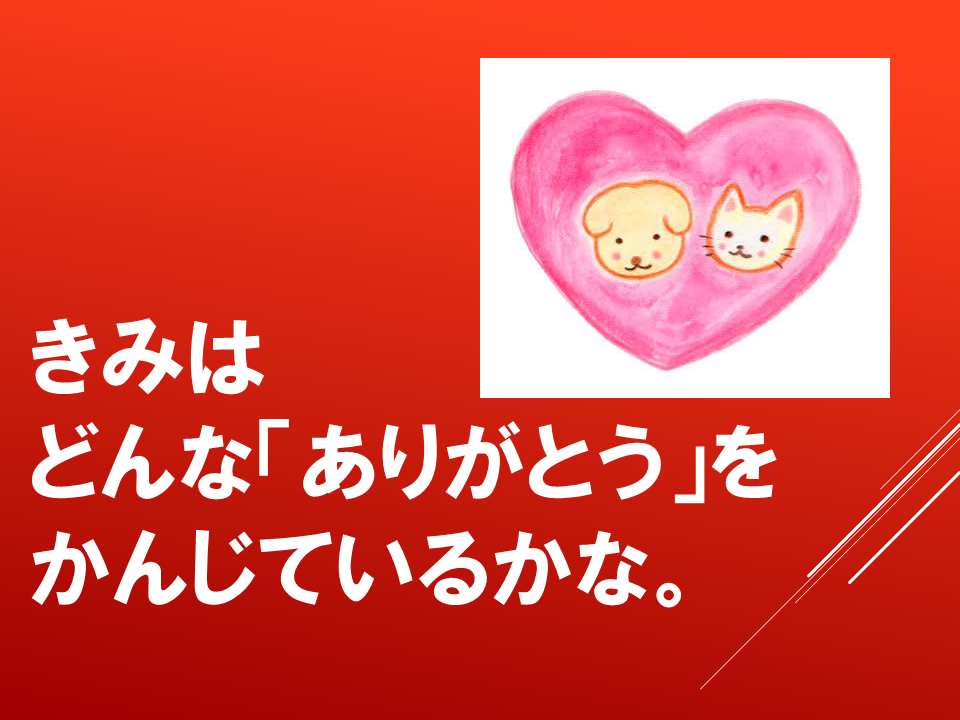 260706 (11).PNG
