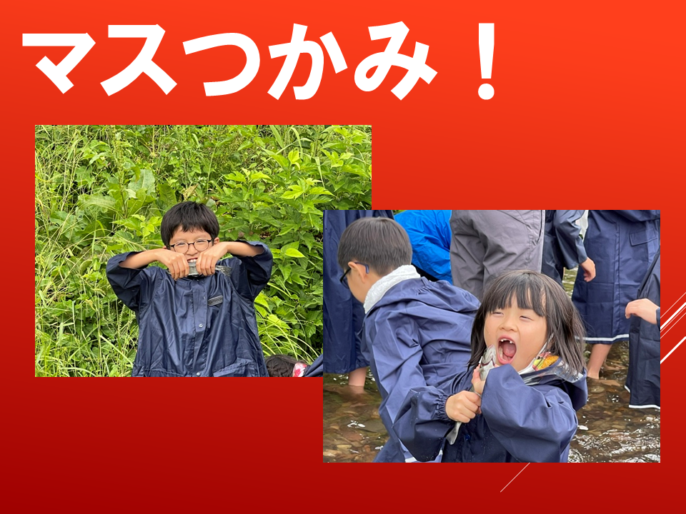 260831 (5).PNG