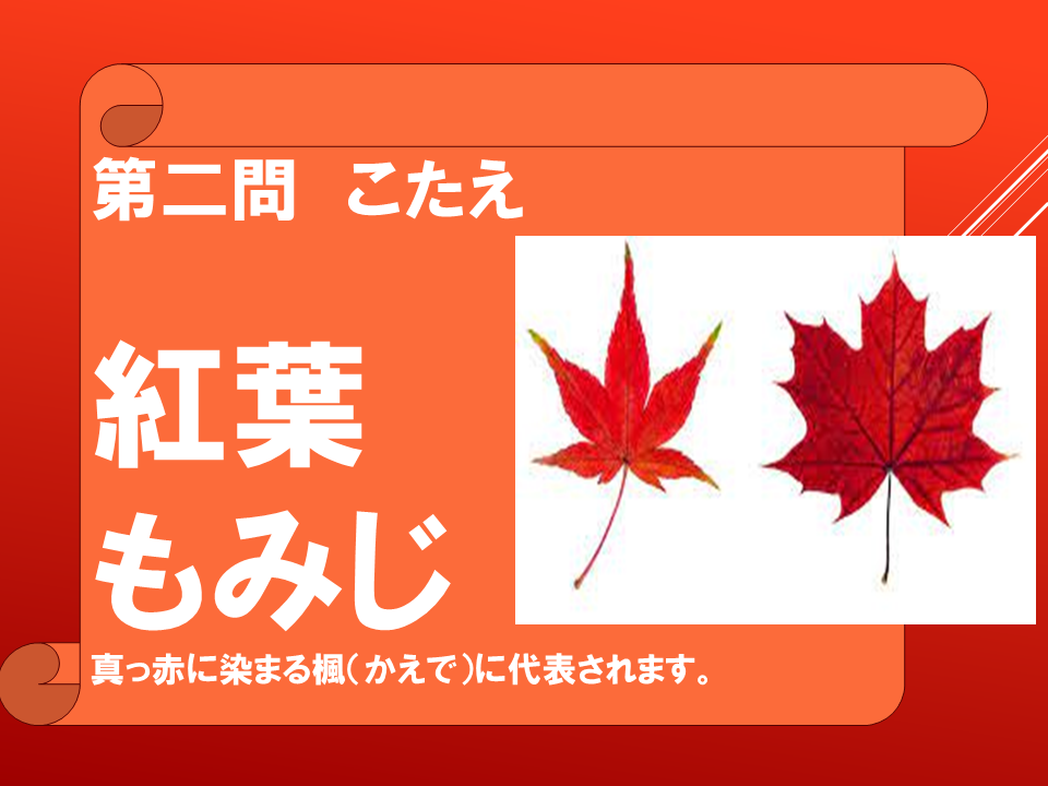 260908 (15).PNG