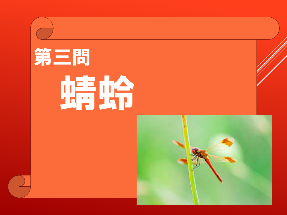 260908 (16).PNG
