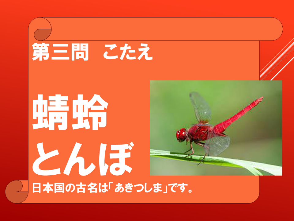 260908 (17).PNG