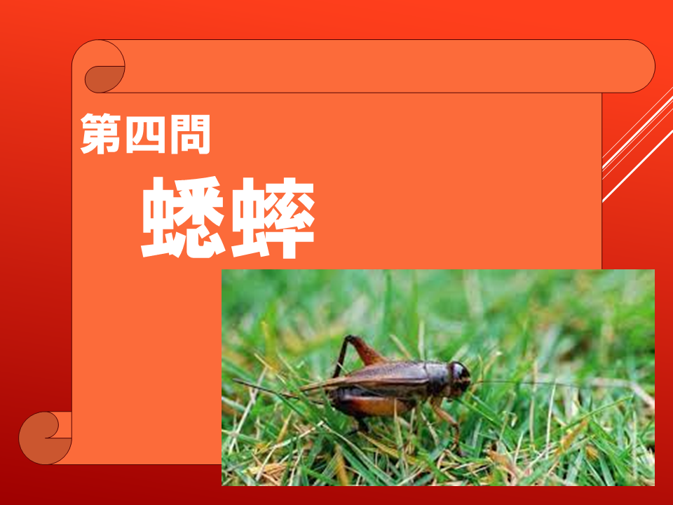 260908 (18).PNG
