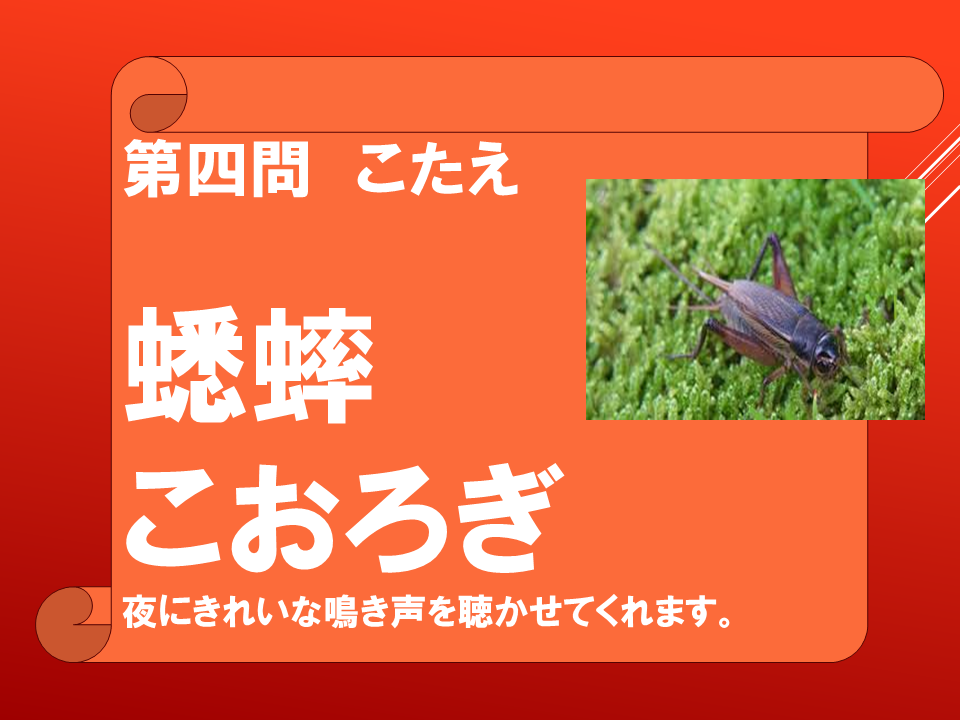 260908 (19).PNG