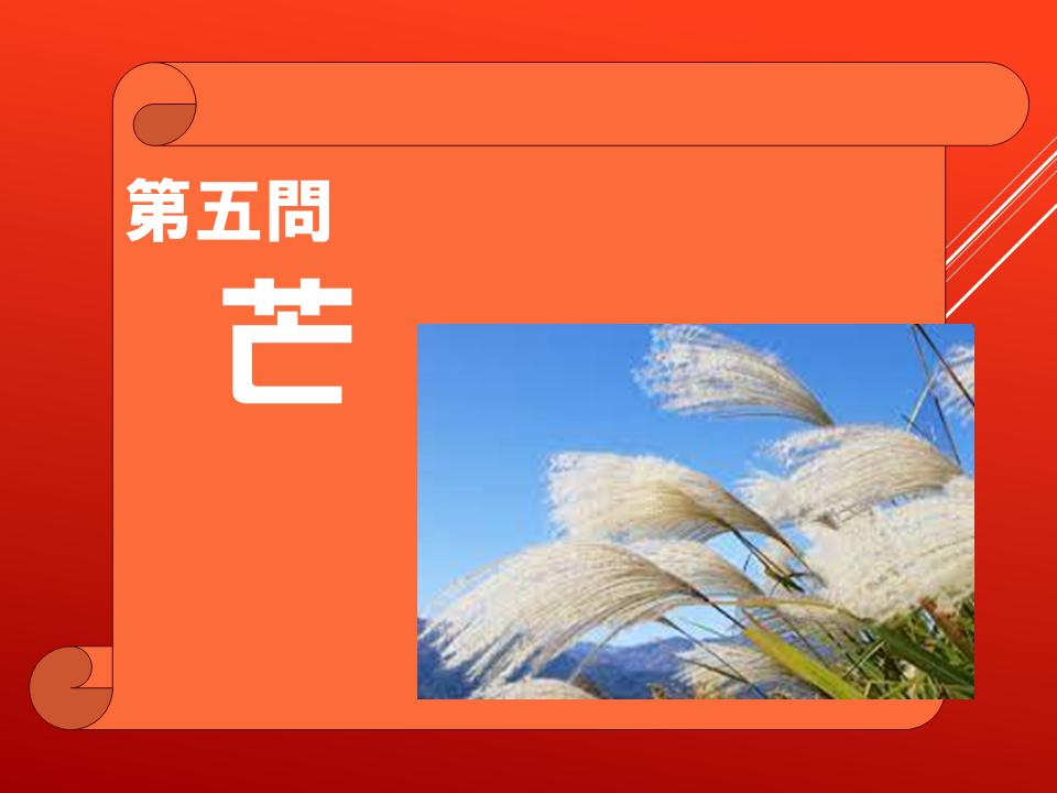 260908 (20).PNG