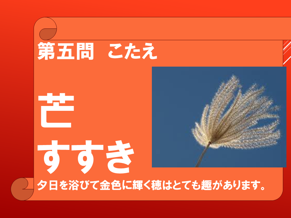 260908 (21).PNG