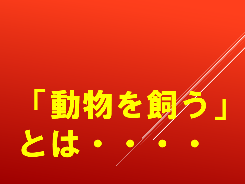 260924 (10).PNG