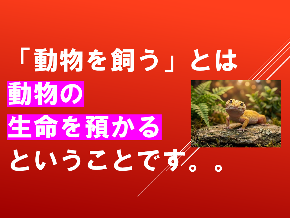 260924 (11).PNG