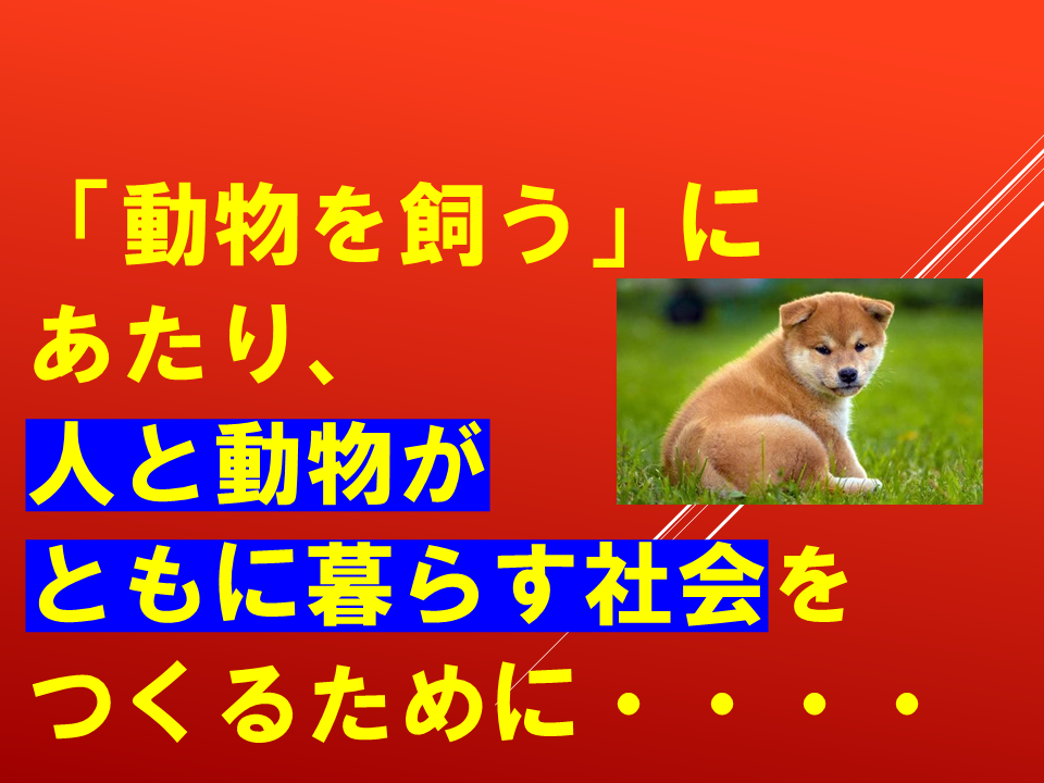 260924 (13).PNG