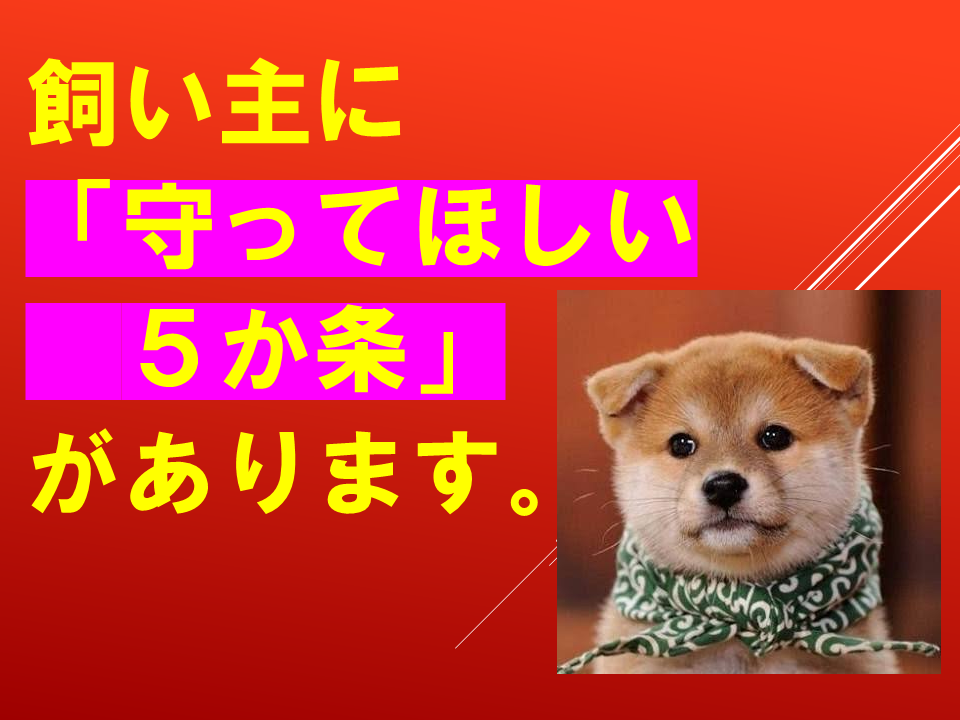 260924 (14).PNG
