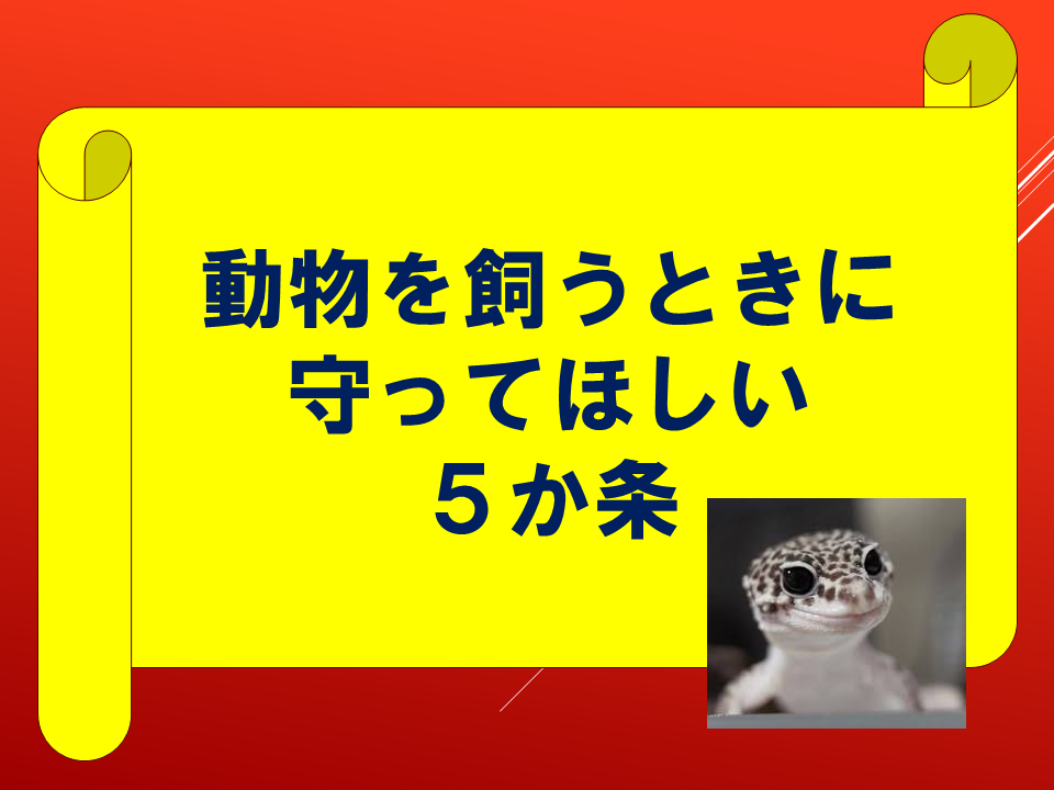 260924 (15).PNG