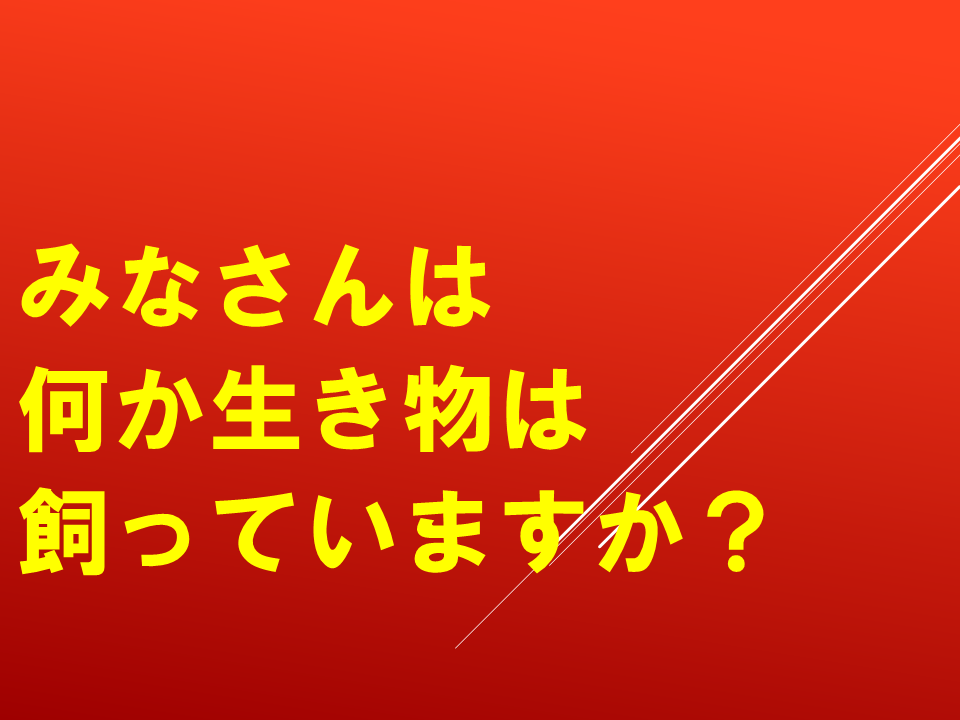 260924 (2).PNG