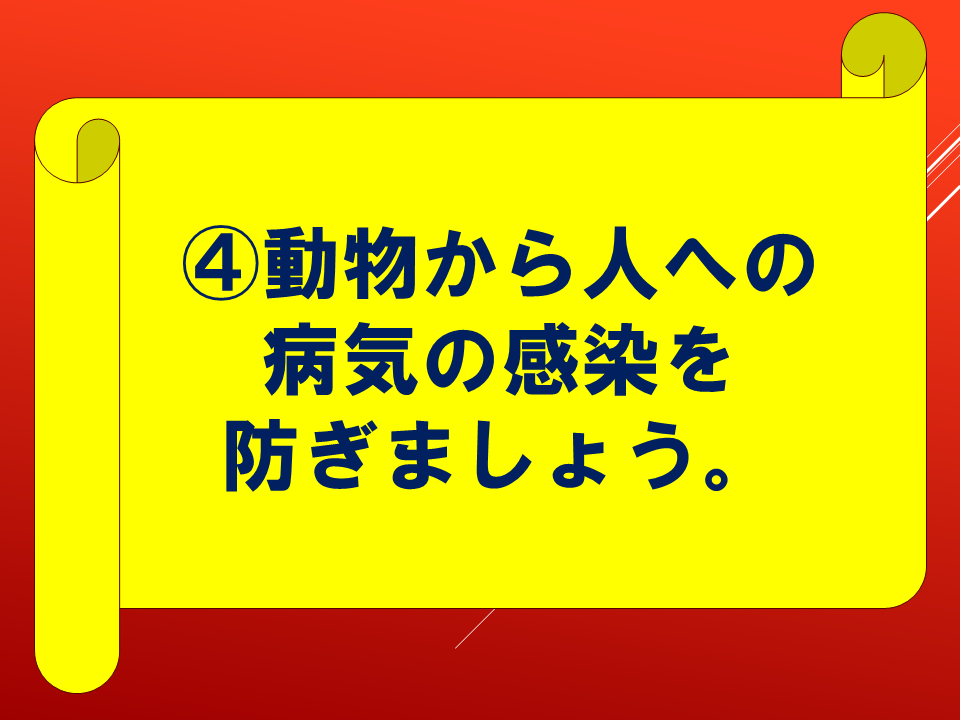 260924 (22).PNG