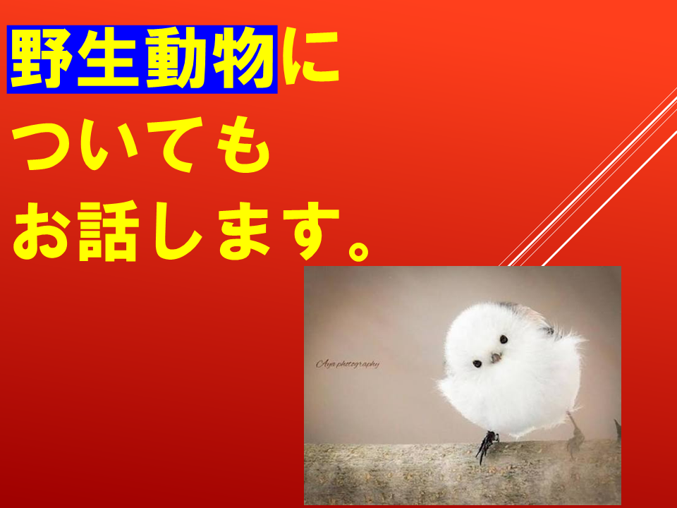 260924 (27).PNG