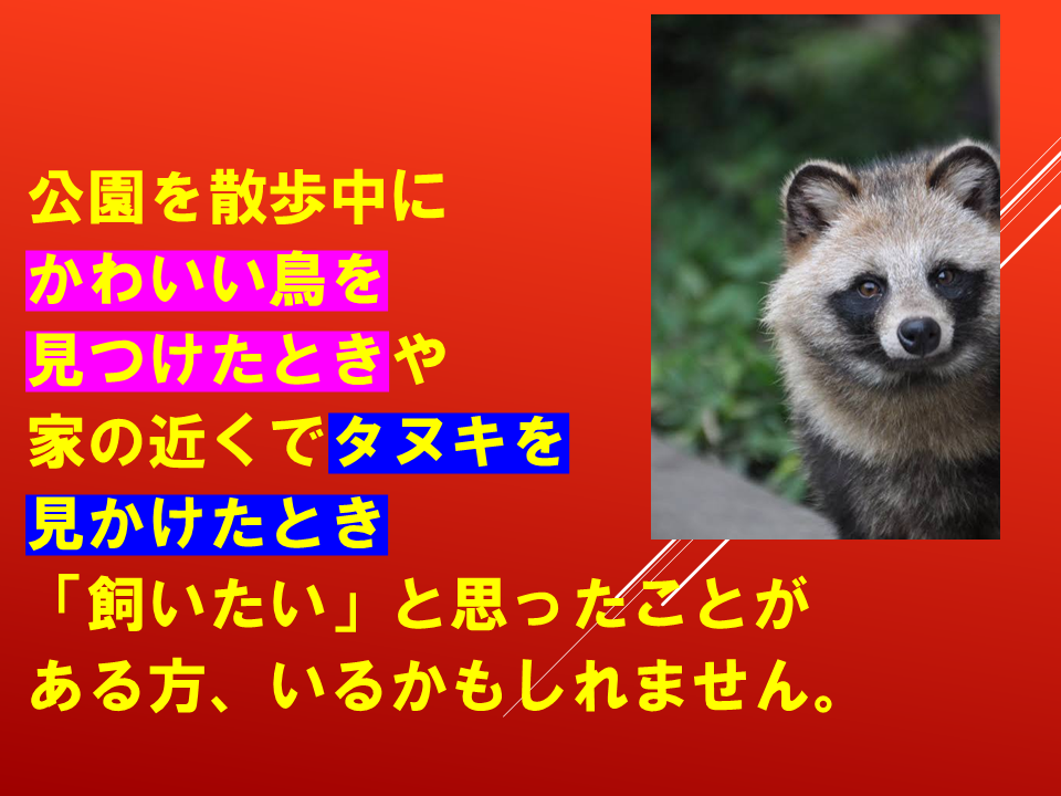 260924 (28).PNG