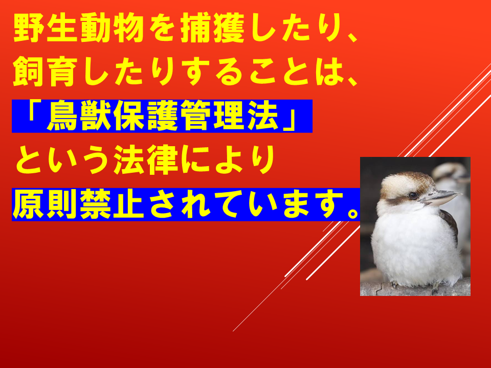 260924 (30).PNG