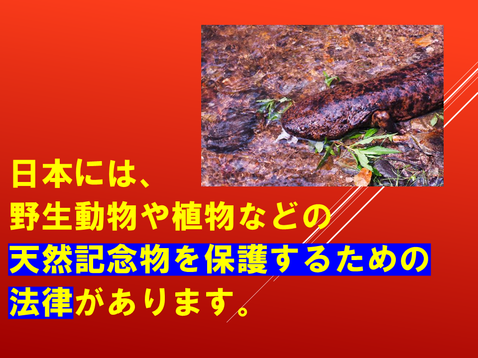 260924 (35).PNG