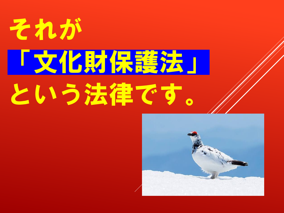 260924 (37).PNG
