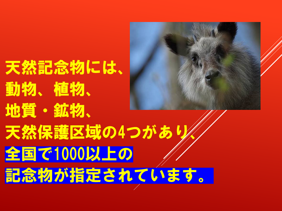 260924 (39).PNG