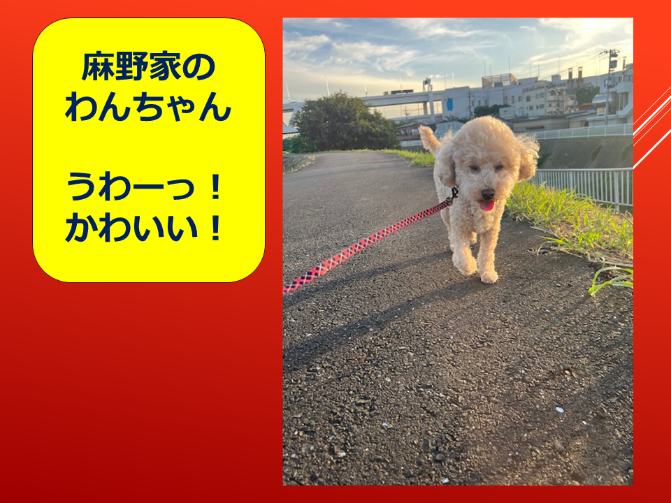 260924 (4).PNG