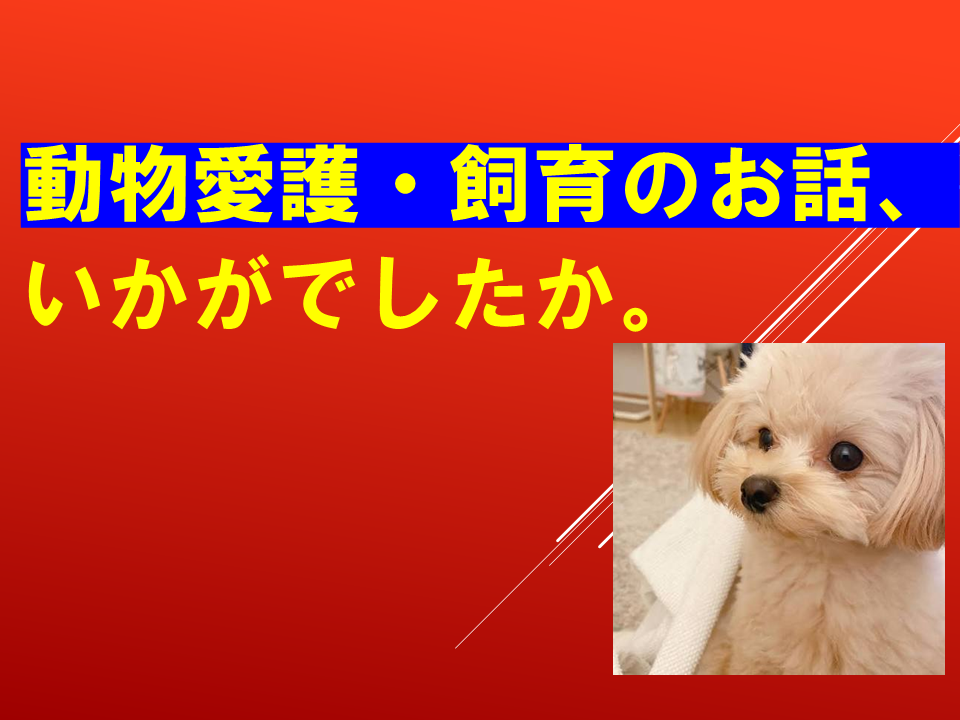 260924 (41).PNG