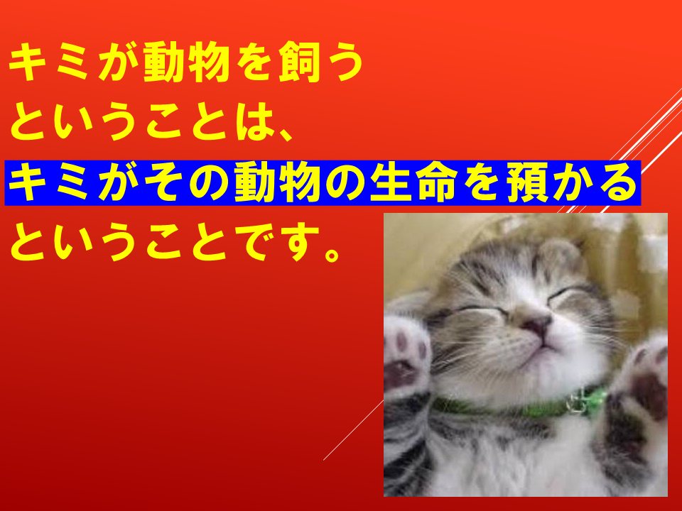 260924 (42).PNG
