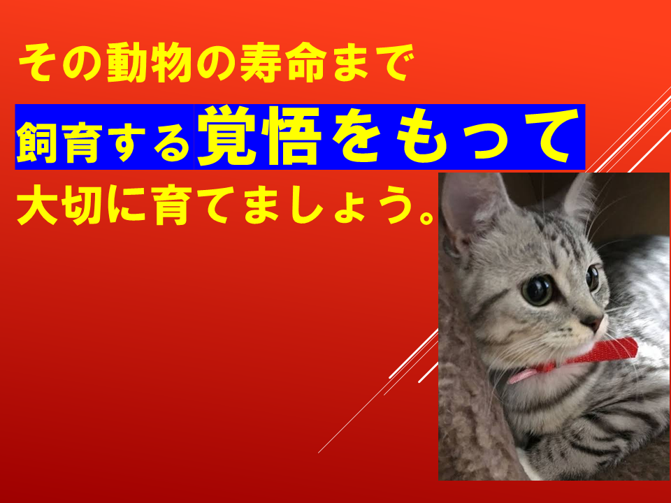 260924 (43).PNG
