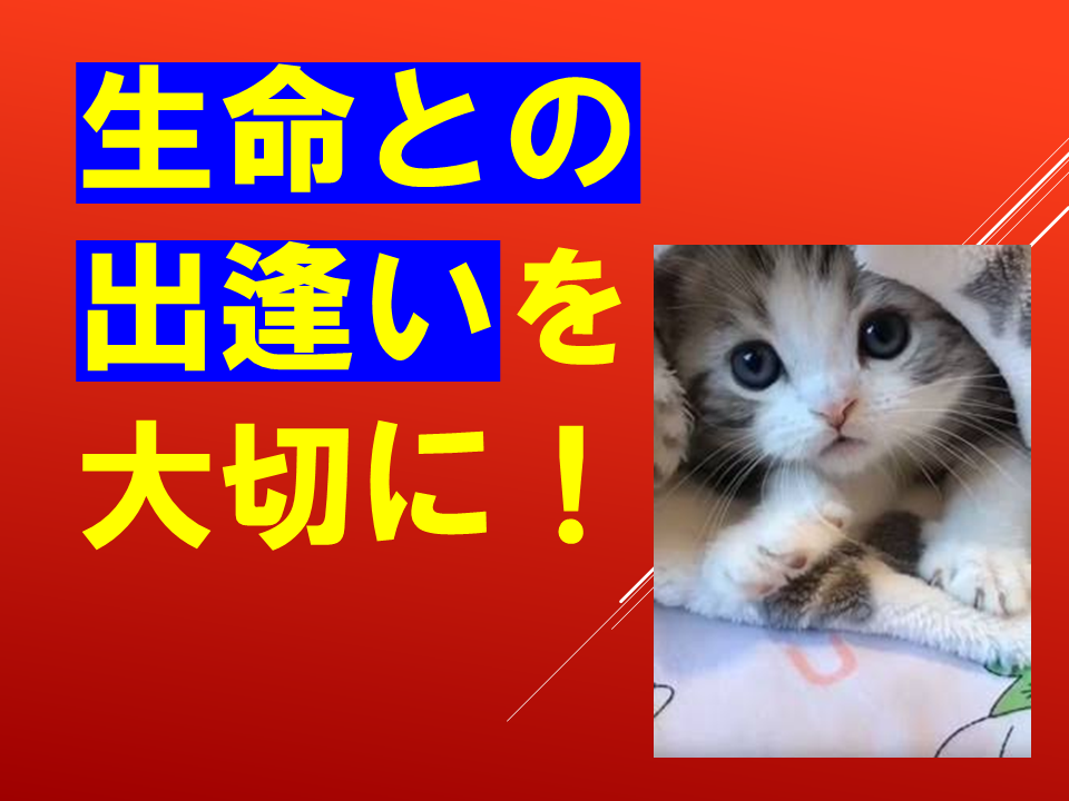 260924 (44).PNG