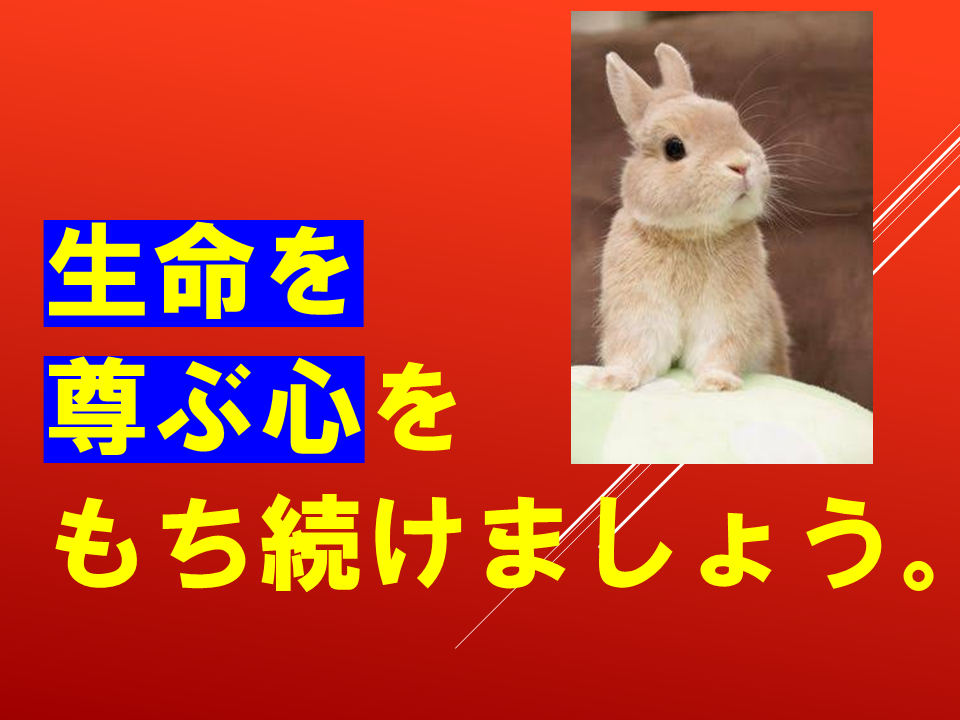 260924 (45).PNG