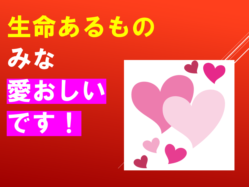 260924 (7).PNG