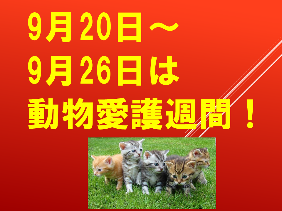 260924 (8).PNG