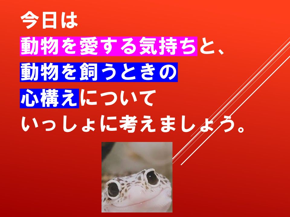 260924 (9).PNG