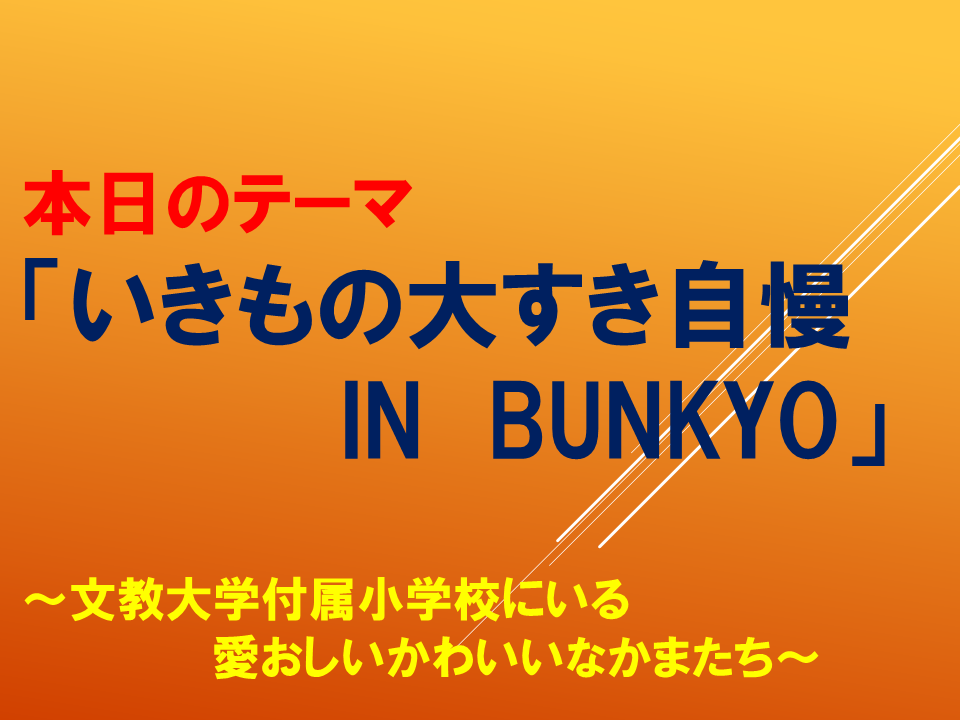 「いきもの大すき自慢　In　BUNKYO」 ～文教大学付属小学校にいる　愛おしいかわいいなかまたち～