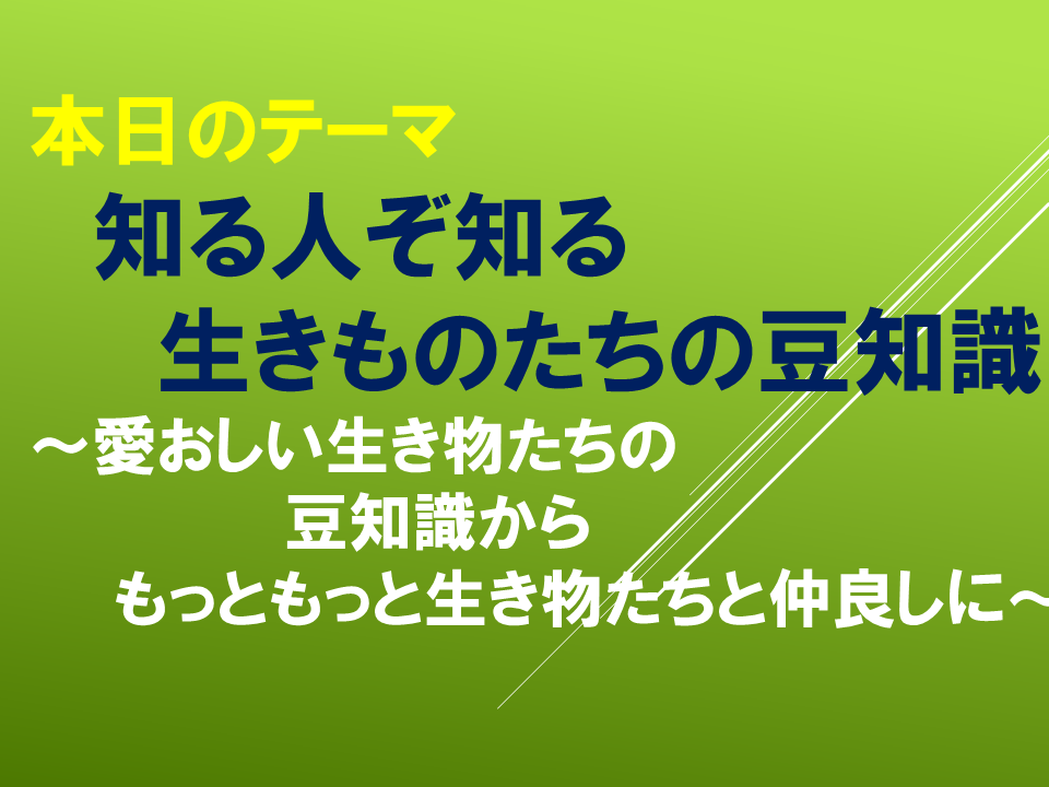 知る人ぞ知る生きものたちの豆知識～愛おしい生き物たちの豆知識からもっともっと生き物たちと仲良しに～