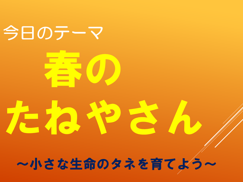 春のたねやさん