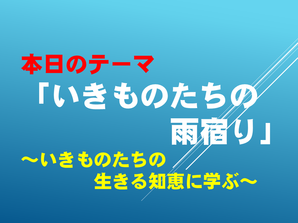 いきものたちの雨宿り～いきものたちの生きる知恵に学ぶ～