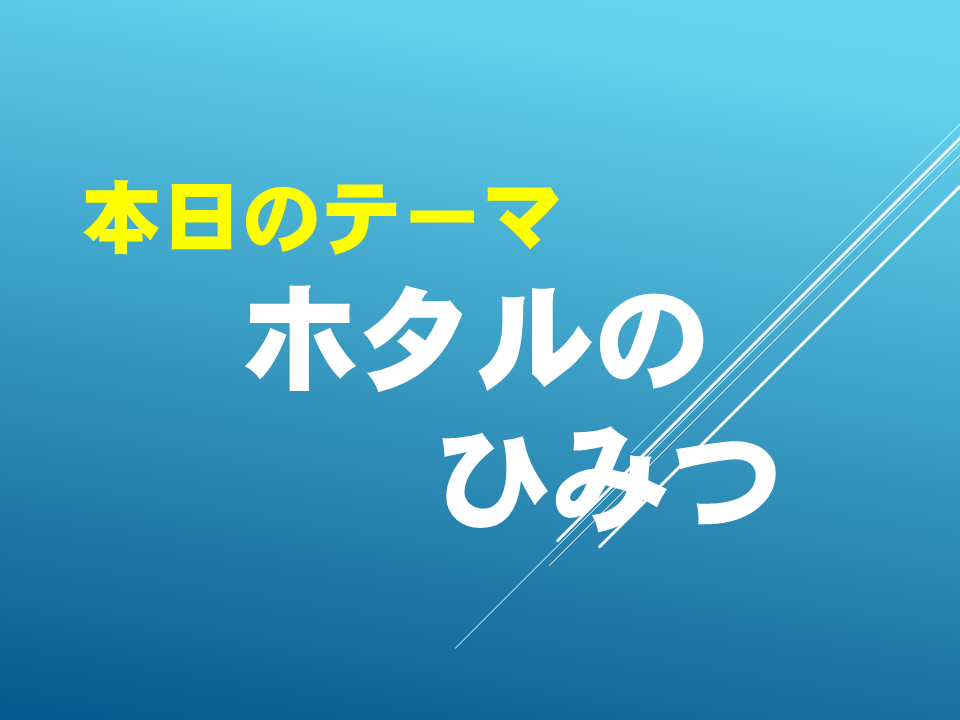 ホタルのひみつ