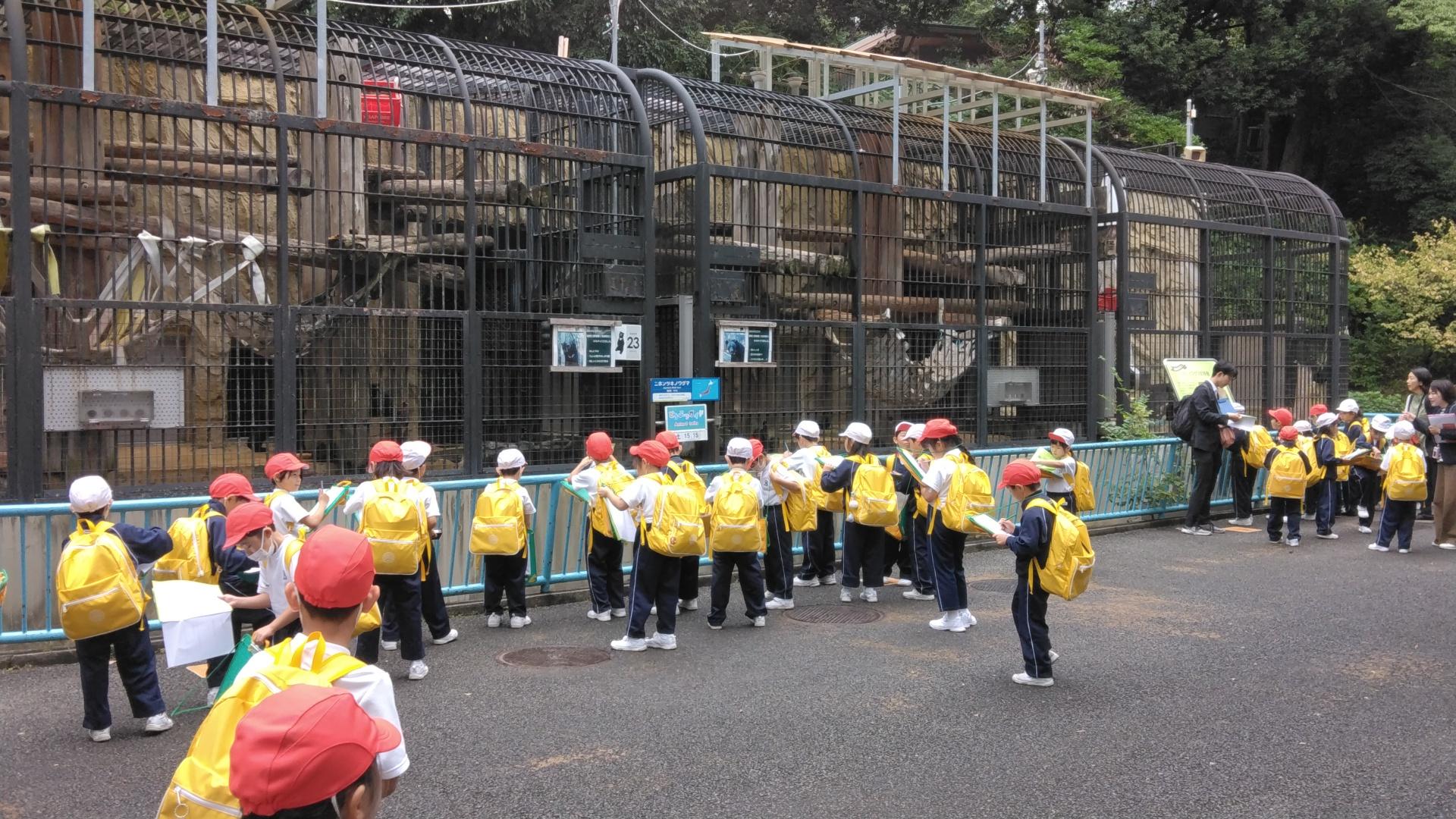 1年生　生活科見学　野毛山動物園