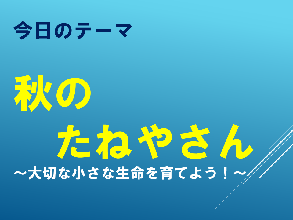 秋のたねやさん～大切な小さな命を育てよう！～